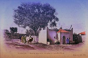 Tlemcen 143- Collection Montaner